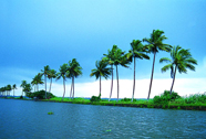 Alappuzha