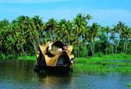 Kumarakom Backwater