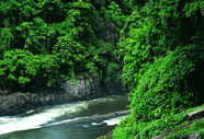 Athirappally Waterfalls