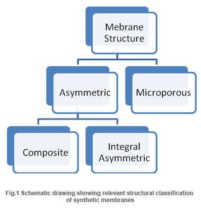 Fig.1 Schematic drawing showing relevant structural classification 