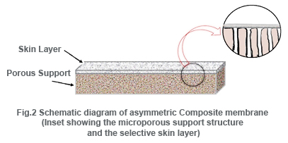 Schematic diagram of asymmetric Composite membrane (Inset showing the microporous support structure and the selective skin layer)